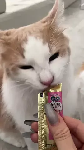 Y U R I AのTikTok投稿