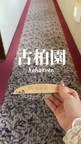 ꒰ ՞•ﻌ•՞ ꒱のTikTok投稿