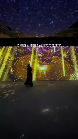 ꒰ ՞•ﻌ•՞ ꒱のTikTok投稿