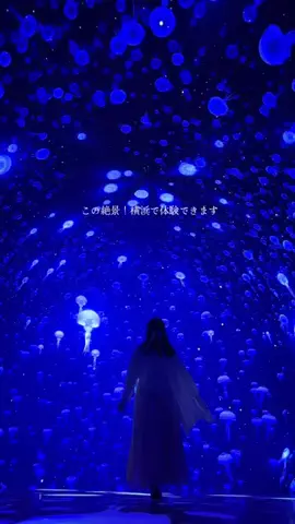 ꒰ ՞•ﻌ•՞ ꒱のTikTok投稿
