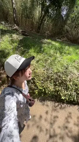 ꒰ ՞•ﻌ•՞ ꒱のTikTok投稿