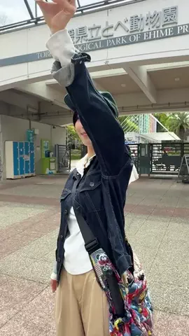 シコクパンクのTikTok投稿