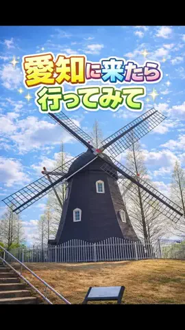 yochan.0303のTikTok投稿