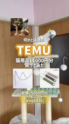 ダンシングオウムと監視犬のTikTok投稿