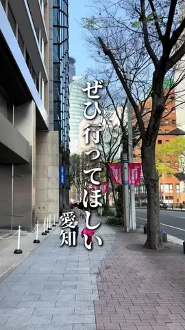 のん | 愛知グルメ・おでかけのTikTok投稿
