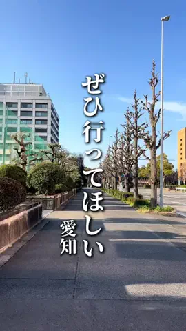 のん | 愛知グルメ・おでかけのTikTok投稿