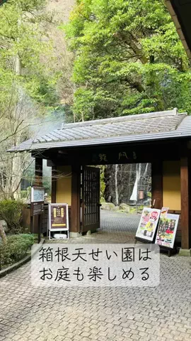 岡谷咲希のTikTok投稿