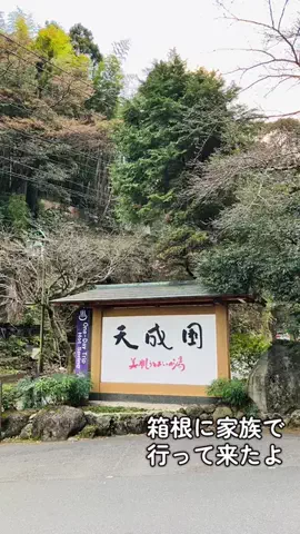 岡谷咲希のTikTok投稿