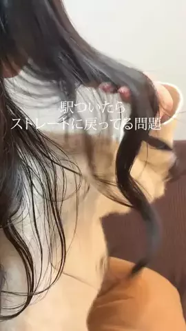 ゆあの盛れ研究所🫧のTikTok投稿