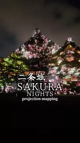 旅するpippiのTikTok投稿