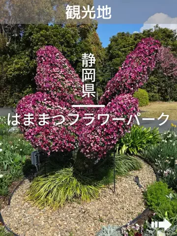 デンじょーの旅のTikTok投稿