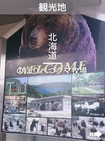 デンじょーの旅のTikTok投稿
