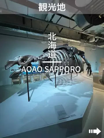 デンじょーの旅のTikTok投稿