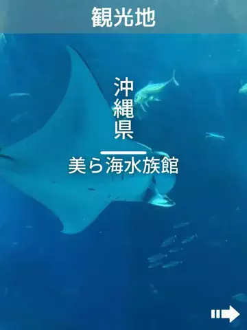 デンじょーの旅のTikTok投稿