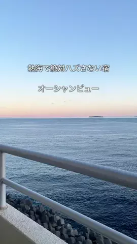 デンじょーの旅のTikTok投稿
