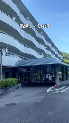デンじょーの旅のTikTok投稿