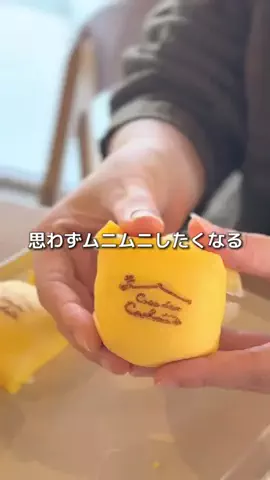 やまがたぐらしのTikTok投稿