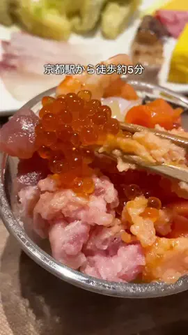 デンじょーの旅のTikTok投稿