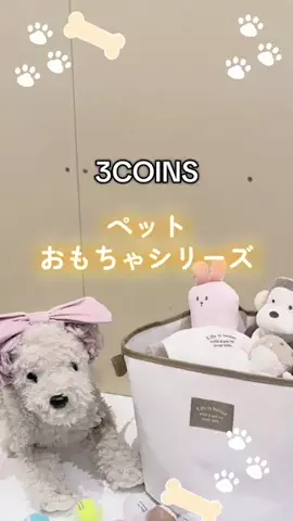 ❋aya❋ 〚3COINS公式アカウント〛のTikTok投稿
