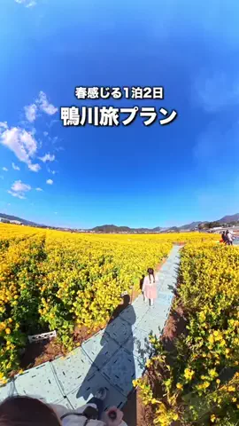 アナ｜千葉 成田発｜こどもとおでかけガイドのTikTok投稿
