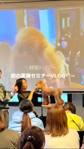 𝑺𝑨𝑲𝑰 ✂︎のTikTok投稿