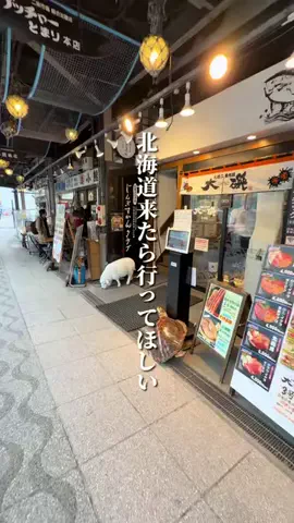けんじ グルメマンのTikTok投稿