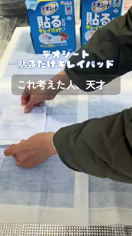 夫婦バラエティらぼのTikTok投稿