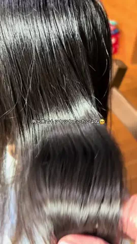 ハルとアキ🐱のTikTok投稿