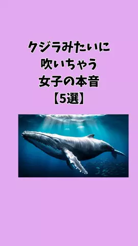 ぶーのTikTok投稿