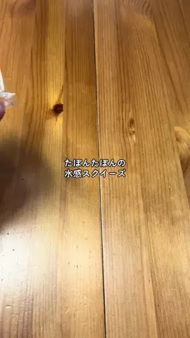 ハルとアキ🐱のTikTok投稿