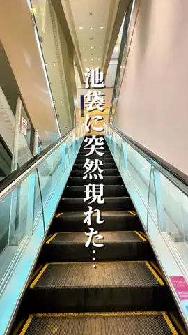 東京フード|グルメ•スポットのTikTok投稿