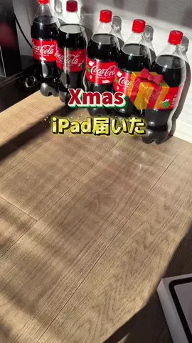えび｜ズボラでも整うマイペースな暮らしのTikTok投稿