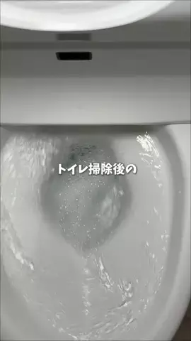旅する引きこもりのTikTok投稿