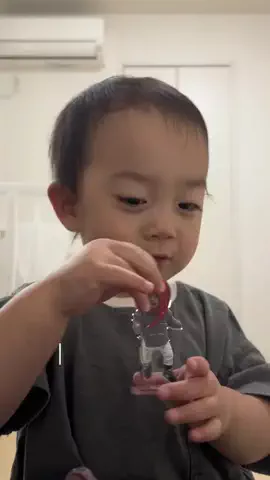 ほいっぷくんのTikTok投稿