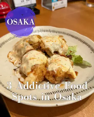 osaka.gourmet.journey.enのTikTok投稿