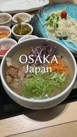 osaka.gourmet.journey.enのTikTok投稿