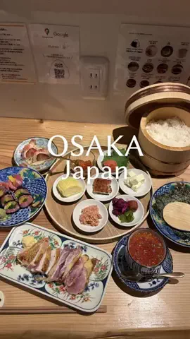 osaka.gourmet.journey.enのTikTok投稿