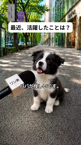 犬猫総合製薬株式会社のTikTok投稿