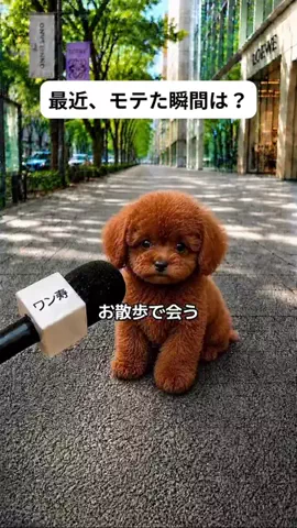 犬猫総合製薬株式会社のTikTok投稿