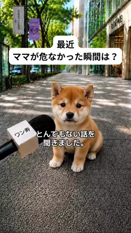 犬猫総合製薬株式会社のTikTok投稿
