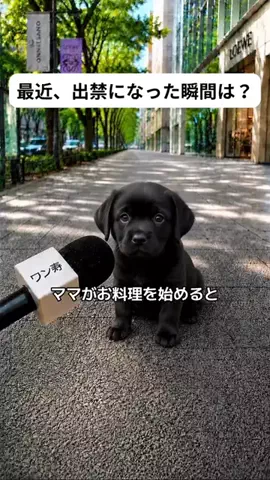 犬猫総合製薬株式会社のTikTok投稿