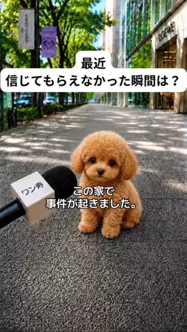 犬猫総合製薬株式会社のTikTok投稿