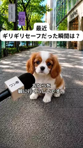 犬猫総合製薬株式会社のTikTok投稿