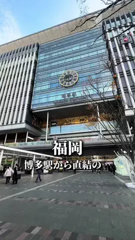 あすグルメ福岡のTikTok投稿