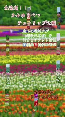 GOJYOちゃんのTikTok投稿