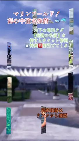 GOJYOちゃんのTikTok投稿