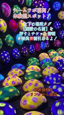 GOJYOちゃんのTikTok投稿
