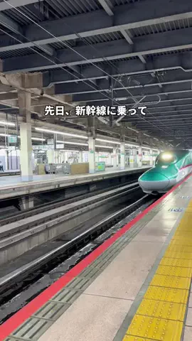 mocoのおでかけ日記のTikTok投稿