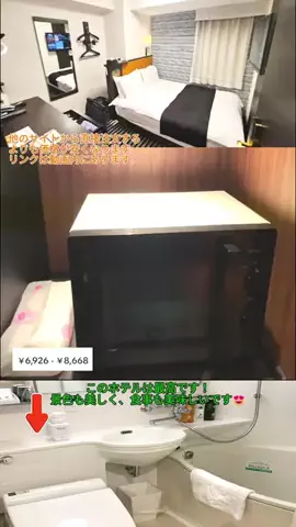🦟かみじのTikTok投稿