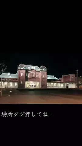 藤のTikTok投稿